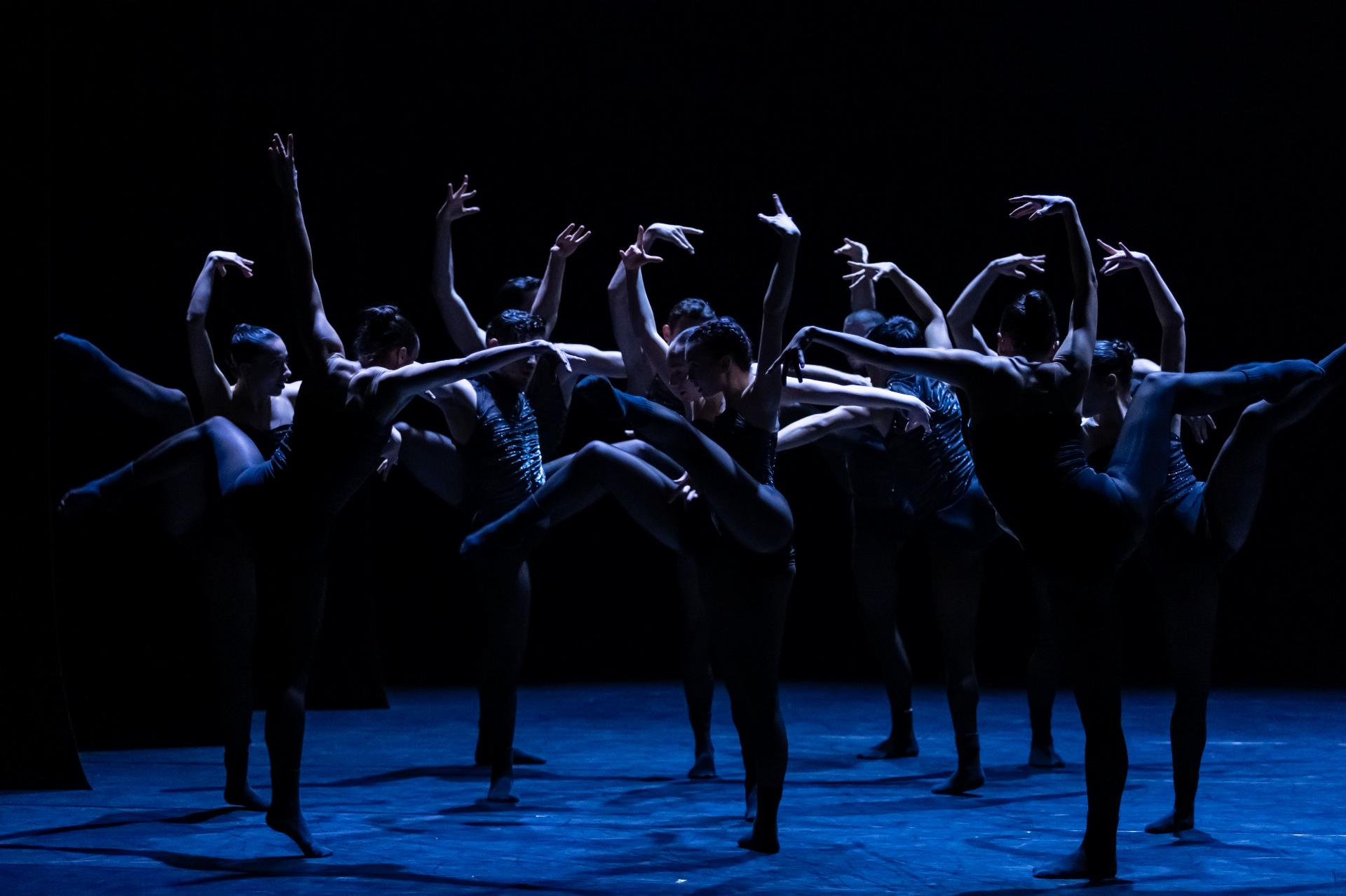 Godani by Kamea Dance Company_photo_by_Kfir_Bolotin_02